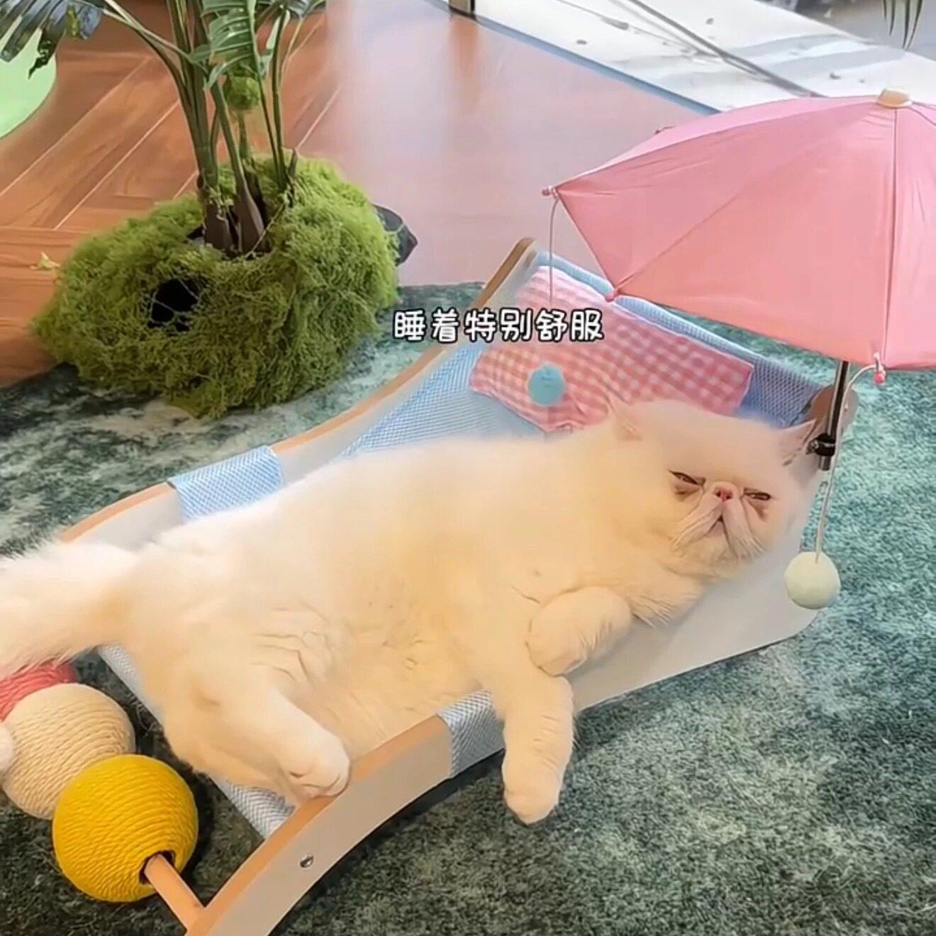 宠物沙滩椅带遮阳伞夏季清凉猫咪凉席卧椅猫床剑麻球解闷宠物玩具