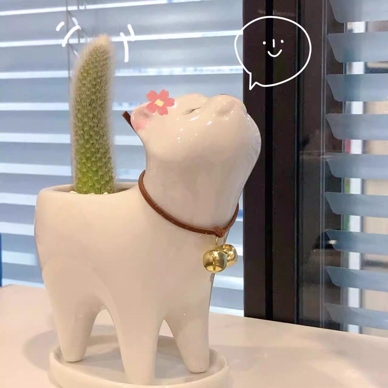 九尾狐多肉猫咪花盆陶瓷治愈系新家客厅奶油风可爱绿植装饰摆件