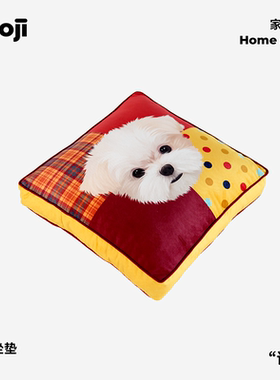 POOJI宠物定制坐垫沙发枕榻榻米加厚椅垫猫咪狗狗创意来图DIY礼物
