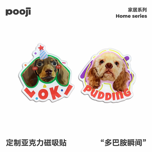 POOJI宠物定制冰箱贴来图DIY