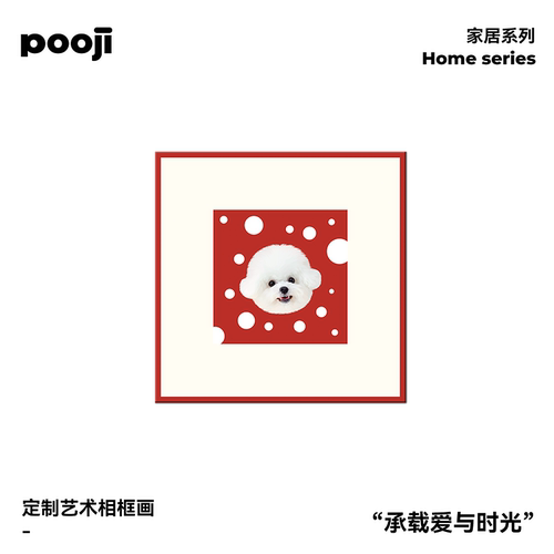 POOJI宠物定制相框画创意礼物