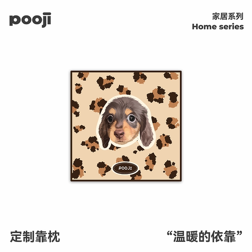 POOJI宠物定制抱枕沙发靠枕靠垫两只小狗图案定制装饰原创设计款