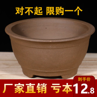 紫砂多肉文竹花盆大口径盆景种树盆绿萝专用花盆陶瓷花盆特价清仓