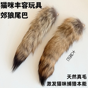 猫咪丰容玩具郊狼尾巴天然真毛解闷自嗨神器宠物气味丰容啃咬玩具