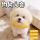 防偷吃乱吃网纱狗狗头套小型犬泰迪比熊防误食面罩防舔嘴套透气