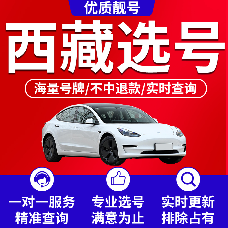 西藏拉萨昌都山南那曲市阿里地区自编车牌选号号码库新能源汽车