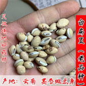 正宗云南白扁豆中药材500g克正品 老品种白扁豆药用黑唇黑点可炒熟