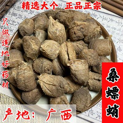 桑螵蛸中药材野生桑螵蛸熟大棉