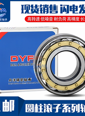 丹洋圆柱滚子轴承NF 336 338 340 344 348 352 EM