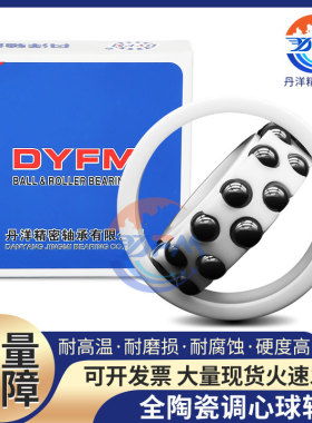 丹洋氧化锆陶瓷调心球轴承2202 2203 2204 2205 2206 2207 2208CE