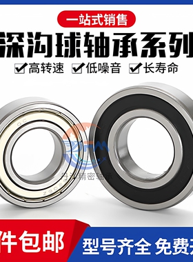 丹洋万向轴承6300 6301 6302 6303 6304 6305 6306 6307 6308  RS