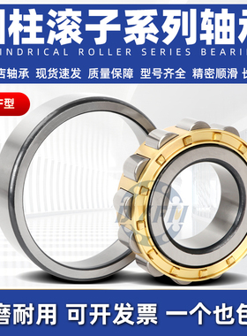 瓦房店圆柱滚子轴承NF 304 305 306 307 308 309 310 311 EM