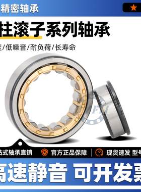 丹洋圆柱滚子轴承N NU NJ RN NUP NF2218 2219 2220 2222EM C3 4K