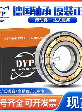 德国进口DYP圆柱滚子轴承 RNU 2310 2311 2312 2313 2314 2315 EM