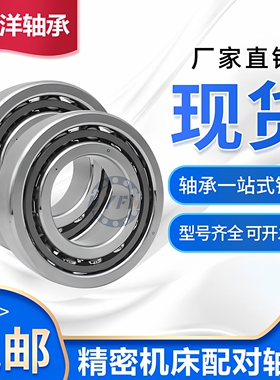 丹洋机床配对主轴轴承110BNR10SUL DB DT DF P4