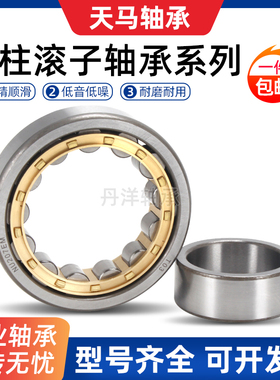 天马国产圆柱滚子轴承N NU NJ RN NUP NF214 215 216 217EMC34 P5