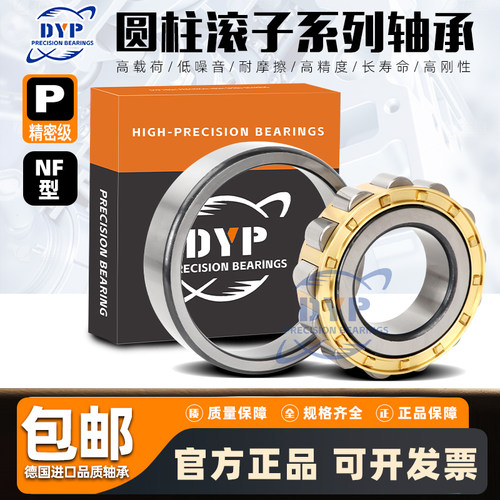 DYP德国进口品质圆柱滚子轴承NF2311 2312 2313 2314 2315 2316EM