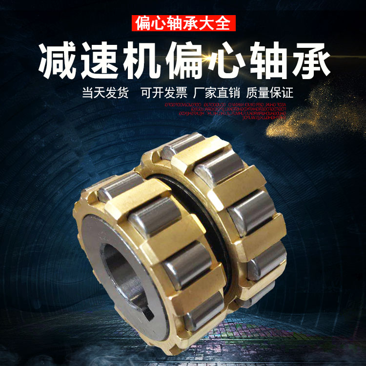 减速机偏心轴承RN205 RN206 307 308 309 312 219 222M 轴承