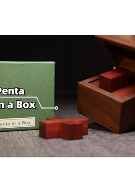 抖音gm同款slidePacking Penta in aBox十级难Puzzle烧脑解密玩具