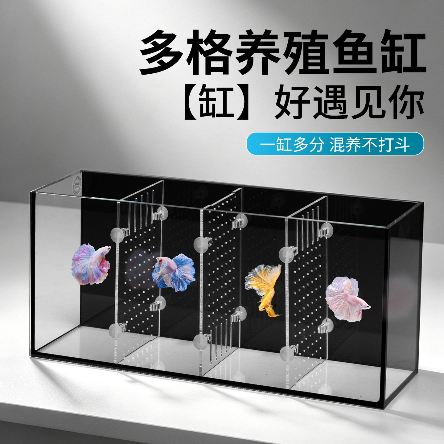 超白玻璃多格斗鱼缸孔雀鱼热带鱼创意鱼缸可拆卸隔板窗台隔离鱼缸