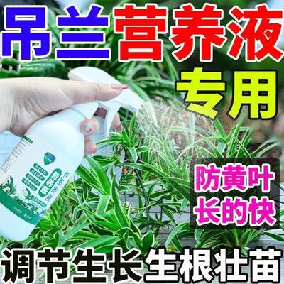 营养液养花专用通用吊兰营养液【爆盆】爆根剂开花生根催芽金边免