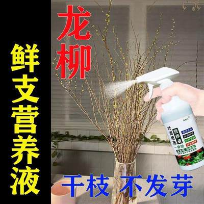 【猛生根】龙柳专用生根