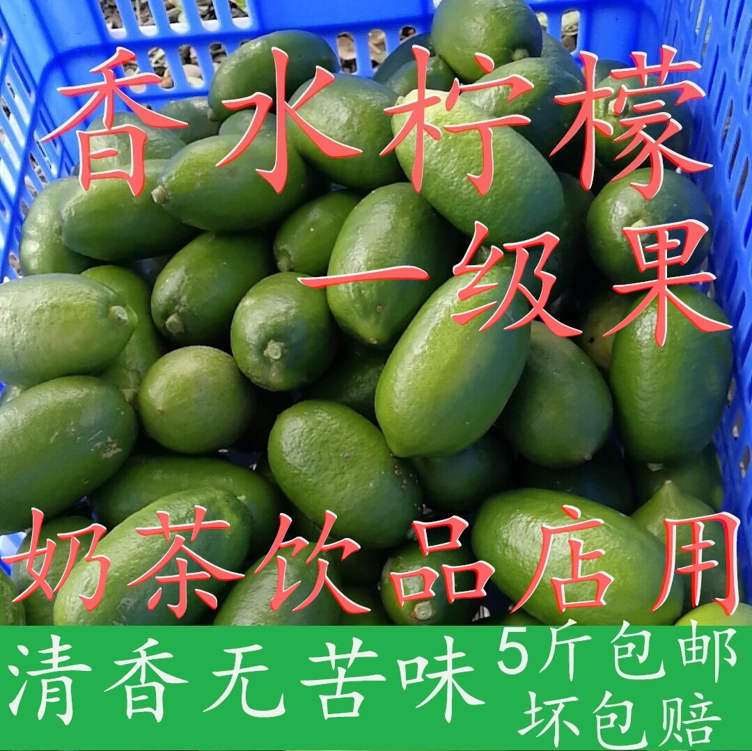 海南香水柠檬新鲜青柠檬免邮无籽清香一级果奶茶饮品店用5斤包邮在类目 水产肉类/新鲜蔬果/熟食, 新鲜水果, 柠檬中 - 来自Buy2taobao.com提供专业的淘宝代购服务