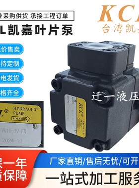 KCL凯嘉VQ35-116FR VQ25-66FR 定量液压油泵 VQ15 VQ20 V45双联泵