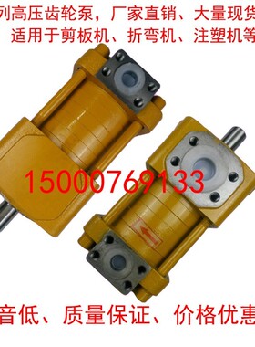 NBZ NB3 NT2-G10F G12F G16F NT3-G20F G25F NB5高压内啮合齿轮泵