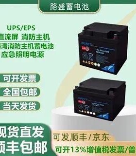 RUZET路盛蓄电池12LPA12V200A150A120A100A65A40A38A24A20A17机房