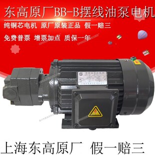 1摆线油泵电机BB B16N B40NJZ 32N 10JZ B25N 上海东高BB