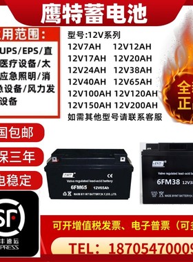 INT鹰特蓄电池6FM7.5/12V12AH17AH24AH38AH65AH消防主机/应急电源