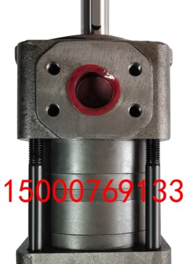 NT2-G10F G12F G16F NT3-G20F G25F G32F NT4-G40F G50F G63F油泵