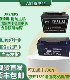 AST蓄电池FM12-65/12V17A24A38A65A100AH通讯机房消防主机直流屏
