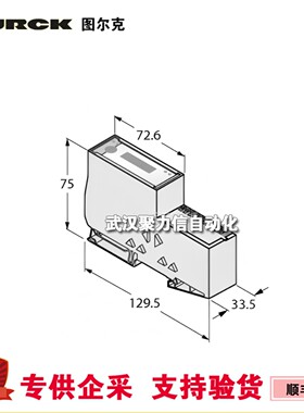 【现货】turck 图尔克现场总线 BL20-E-8AI-U/I-4PT/NI I/O模块