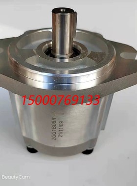 1GG 2GG1P11R 2GG1P14R 2GG1B11R 2GG1B14R 台湾品牌齿轮油泵