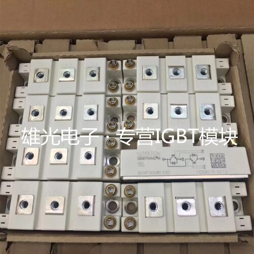 全新SKM100GB128DN SKM100GB123D SKM100GB124D SKM100GB128D BSM