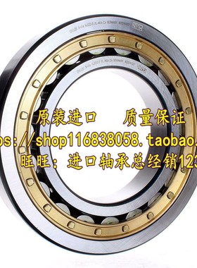 德国FAG 进口轴承 NJ248E.M1.C3 NJ248ECM/C3 C4 C5 NJ248M 42248