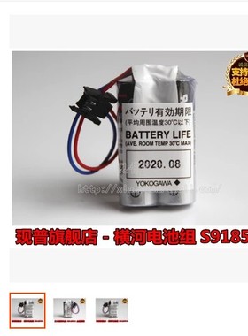 S9185FA 横河电机DCS备件电池 YOKOGAWA