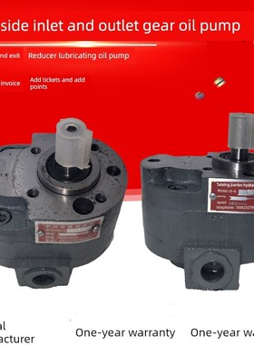 CB-BL10/BL6/BL16/BL25/BL4液压齿轮油泵两侧进油CB-BL20/BL32 F