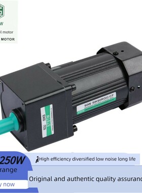 Ststw广东诚钢电机5Ik60Rgu-Cf 40W25W15W90W120W全系列电机