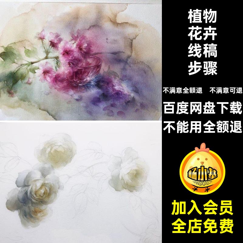 植物花卉线稿步骤图电子版淡教程素材手绘美术水彩插画小清新临摹