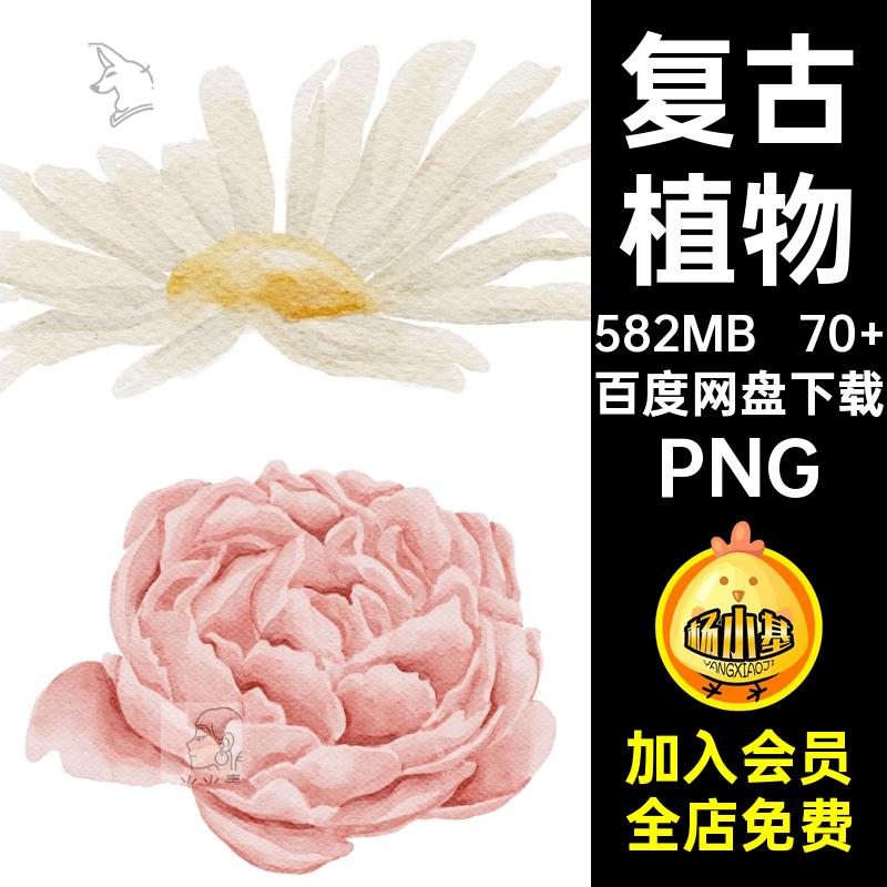 花卉插画PNG拼贴免时尚图片素材免抠优雅70 手绘植物复古图案装饰