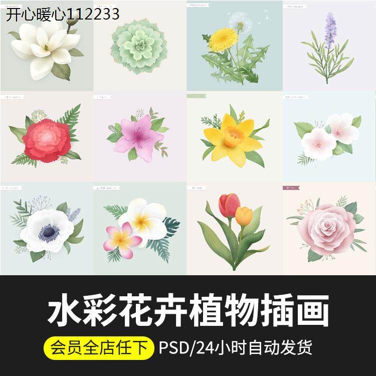 精美水彩手绘花卉绿植植物棉花多肉插画元素psd分层设计素材