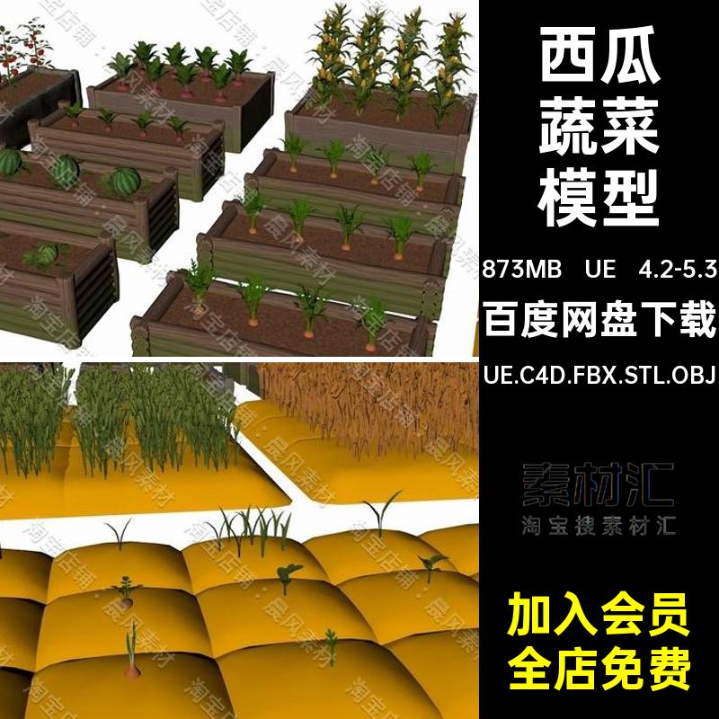 UE 4.2-5.3南瓜蔬菜模型UE.C4D.FBX.STL.OBJ向日葵玉米包菜萝卜