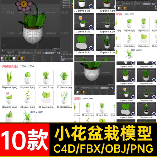 10款小花盆栽模型素材绿植3d花卉C4D植物FBX无卡通可爱pngOBJ贴图