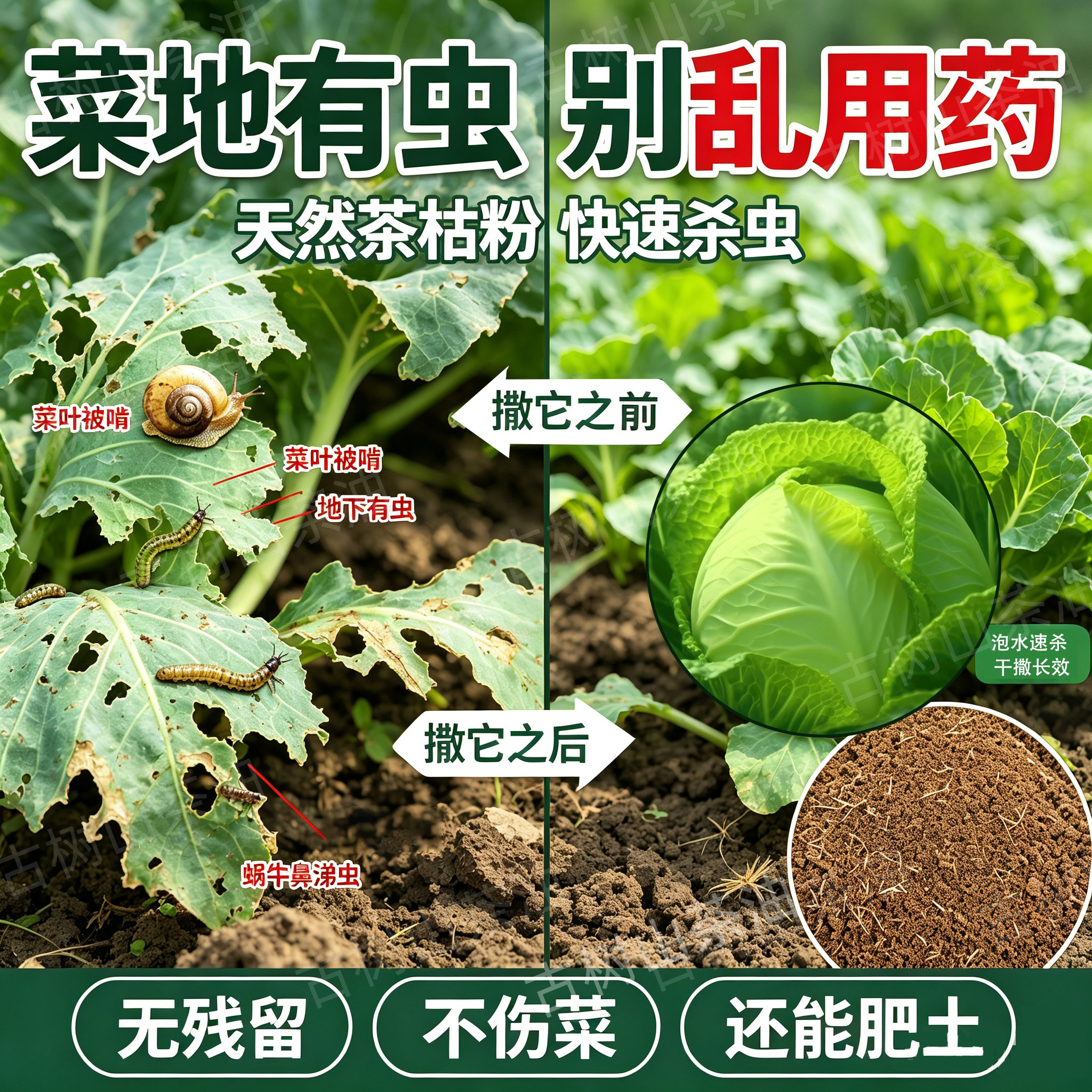 茶枯粉杀虫农用菜地种菜室内花卉盆栽种植茶枯肥料杀蜗牛蚜虫蛞蝓