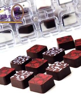 tangba堂巴 10g 24连正方形磁铁巧克力模具 LD-2047 正方转印模具