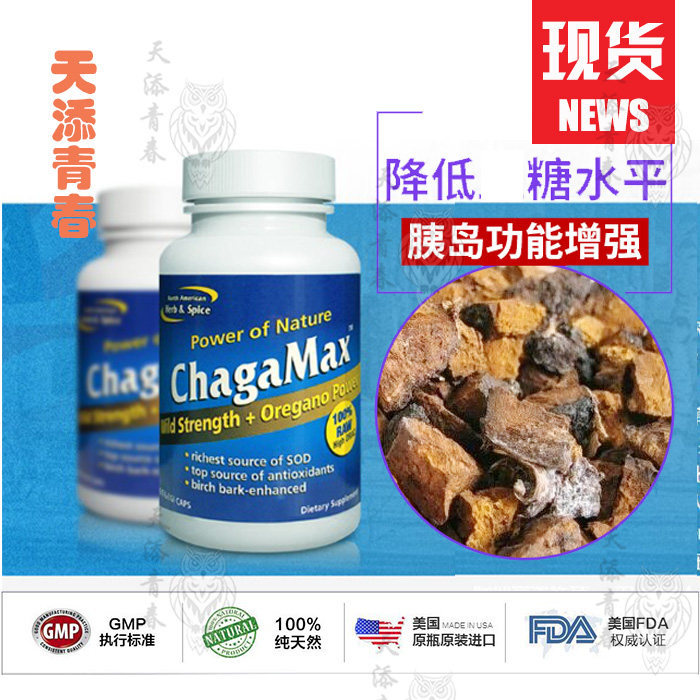 美国野生俄罗斯桦褐孔菌白桦茸