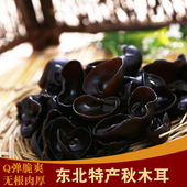 东北黑龙江特产黑木耳干货凉拌肉厚无根纯天然特级秋木耳 包邮